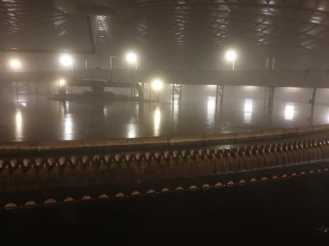 Nachklärbecken ARA Basel