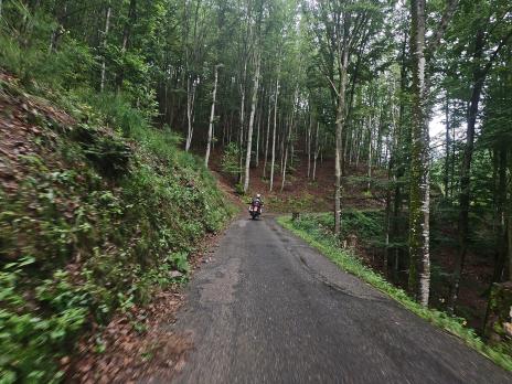 schmale Strassen im Schwarzwald