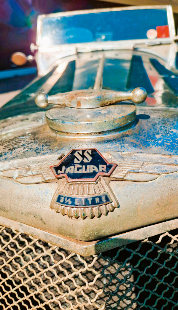 Puissant radiateur avec le logo de la marque et la désignation du type.